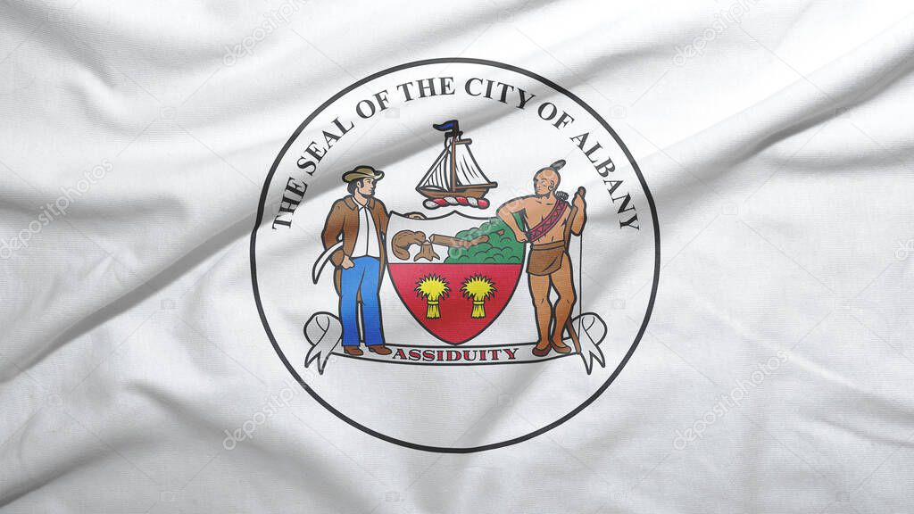Albany of New York of United States flag on the fabric texture background