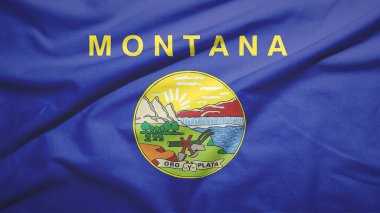 Kumaş dokusu arka planında Montana Birleşik Devletleri bayrağı