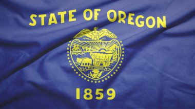 Oregon Eyaleti Birleşik Devletler bayrağı kumaş dokusu arka planında