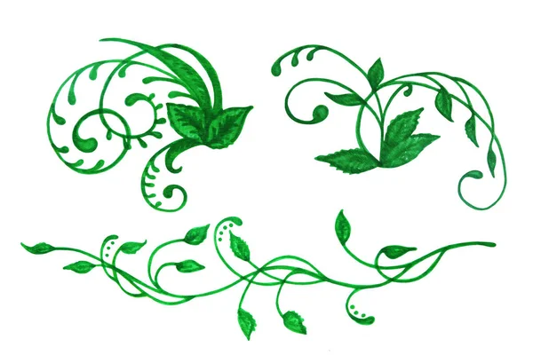 Зеленый Орнамент Веток Листьев — стоковое фото