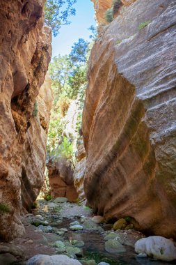 Kıbrıs dağlarında içinde bahar bulunan dev bir kanyon