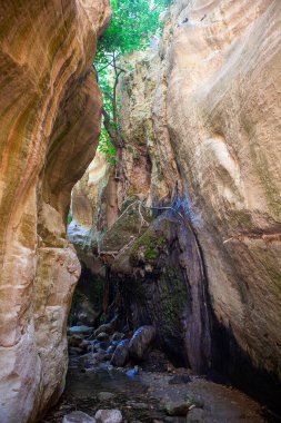 Kıbrıs dağlarında dibi pınarlı dev bir kanyon