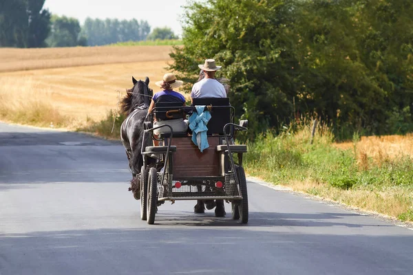 夏の田舎の馬との馬車 — ストック写真