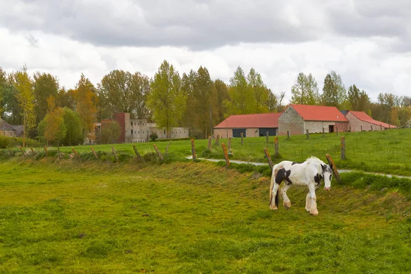 Krajina Farmářským Polem Koněm Pod Šedou Hrozivou Oblohou — Stock fotografie