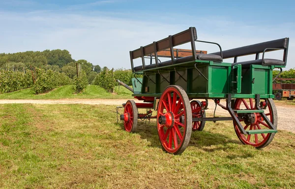 Carro Velho Vintage Colorido Para Agricultura Grama — Fotografia de Stock