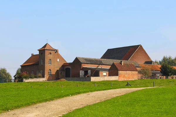 Ladang Besar Taman Heikruis Park Ter Rijst Pepingen Flanders Belgia — Stok Foto