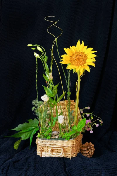Blumenarrangement Mit Sonnenblume Vor Dunklem Hintergrund — Stockfoto