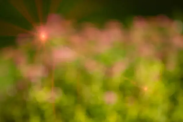 Lentille Fusée Éclairante Sur Fond Bokeh Vert Rose — Photo