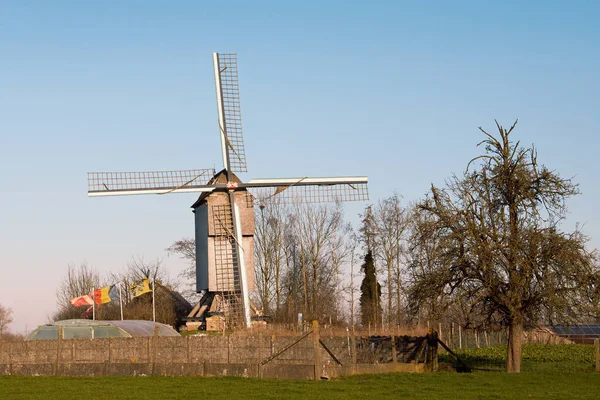 Antiguo Molino Viento Herzele Ardenas Flamencas Bélgica — Foto de Stock