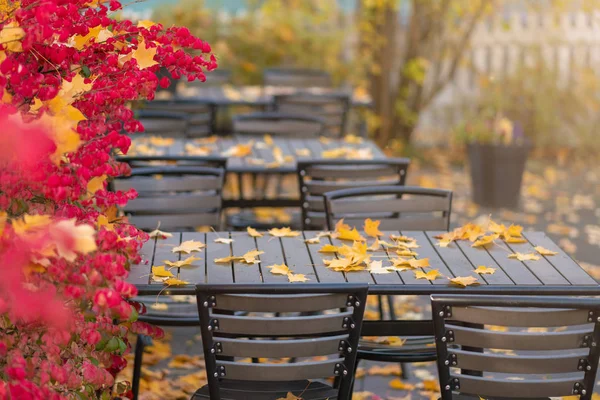 Picture of empty autumn cafe with red and yellow leaves.