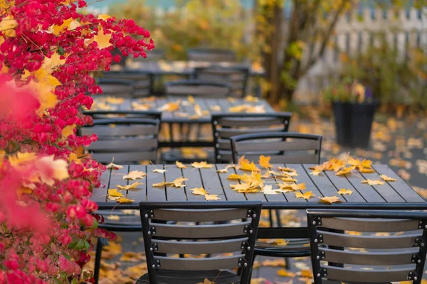 Picture of empty autumn cafe with red and yellow leaves.