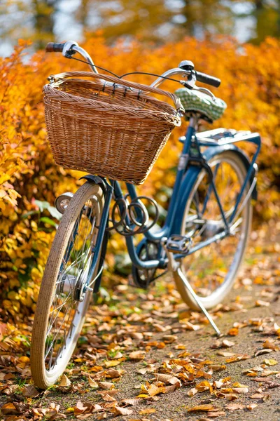 Altes Oldtimer Fahrrad Mit Fahrradkorb Mit Gelben Herbstbäumen Hintergrund — Stockfoto