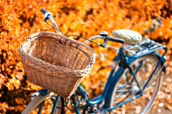 Old vintage bicycle with bicycle bin with yellow autumn trees on the background — Stock Photo, Image