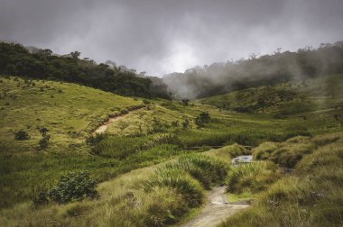 Sri Lanka alanları ve tonda ağaçlar, manzara resmi.