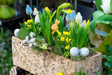 Sokakta satılan bahar çiçekleri. Seramik kaplarda çiçekler. Viyana sokaklarında Paskalya fuarı