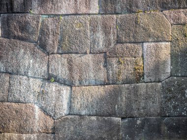 Fayans eklemleri üzerinde taş ve yeşil yosun kaldırım.