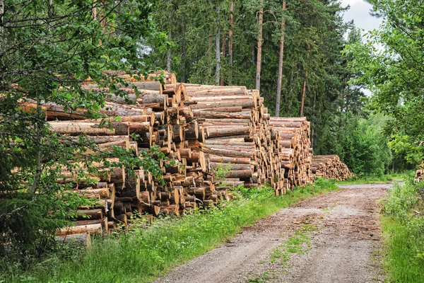 숲 속 의도로에 널찍 한 나무 더미 — 스톡 사진