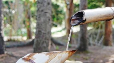 Japon tarzı geleneksel bambu çeşmesi ve el yıkama için taş leğeni.