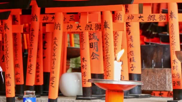 Velas ardiendo en pequeño templo con torii rojo en el fondo — Vídeo de stock