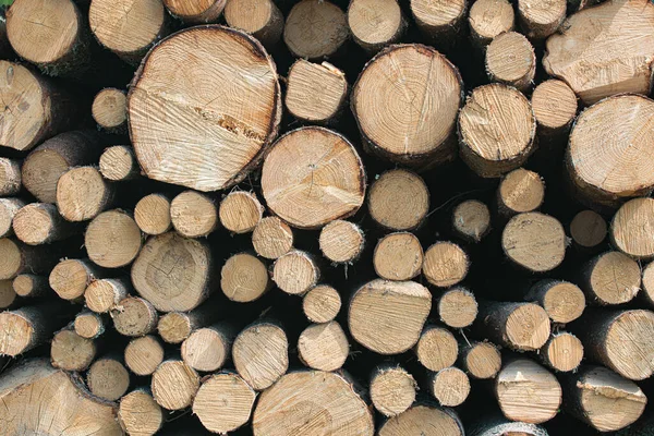 Wizerunek Stosu Kłód Drewna Gotowych Zimę Obraz Stockowy
