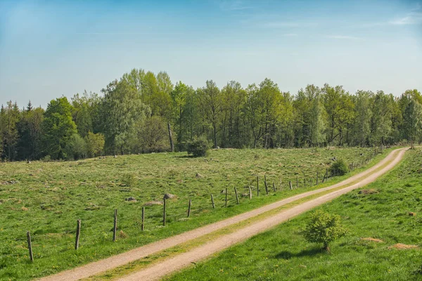 Champ Route Sinueuse A Travers La Prairie Verte Remontage Ensoleille Stock Photo Champ Route Sinueuse A Travers La Prairie Verte Remontage Ensoleille Stock Photo