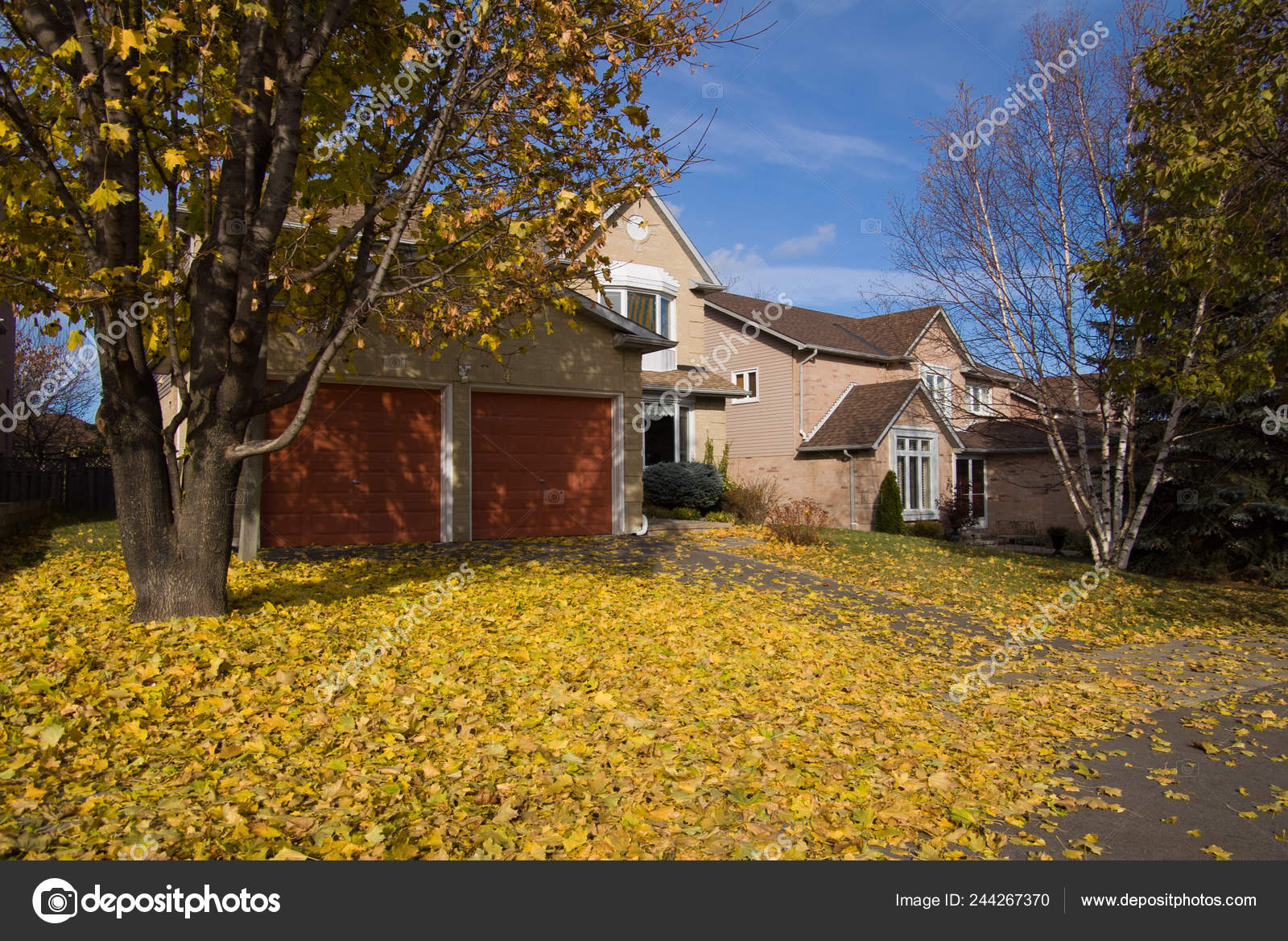 Well Kept Suburban Houses Closest Red Garage Doors Carpet Yellow