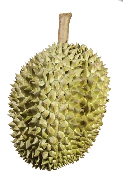 Durian auf weißem Hintergrund — Stockfoto