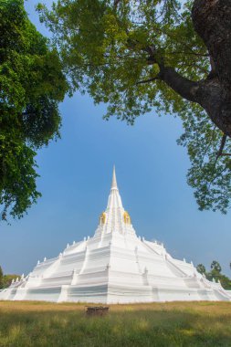 Beyaz pagoda adlı Chedi Phukhao tanga, Ayutthaya Bölgesi, Tayland