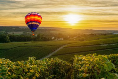 Renkli sıcak hava balonları şampanya bağları üzerinde uçuyor gün batımında Montagne de Reims, Fransa