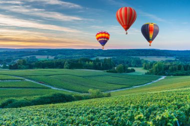 Renkli sıcak hava balonları şampanya bağları üzerinde uçuyor gün batımında Montagne de Reims, Fransa