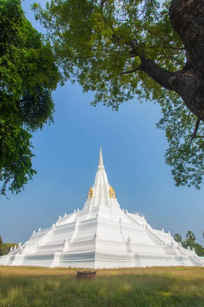 Biała Pagoda Chedi Phukhao Thong Prowincji Ayutthaya Tajlandia — Zdjęcie stockowe