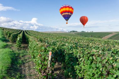 Renkli sıcak hava balonları şampanya bağları üzerinde uçuyor gün batımında Montagne de Reims, Fransa