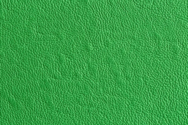 Close Fundo Couro Textura Verde — Fotografia de Stock