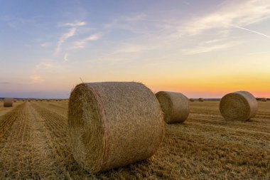 Saman balyaları gün batımı nda bir alanda yığılmış, Reims , Fransa