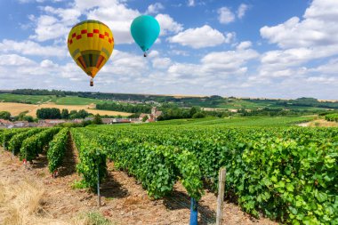 Renkli sıcak hava balonları şampanya bağları üzerinde uçuyor gün batımında Montagne de Reims, Fransa
