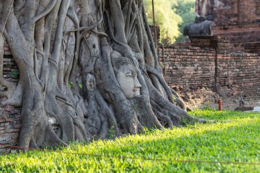 Tayland 'ın Ayutthaya ilindeki Wat Mahathat ağaç köklerindeki Buda heykelinin başı.
