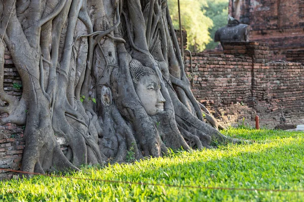 Tayland 'ın Ayutthaya ilindeki Wat Mahathat ağaç köklerindeki Buda heykelinin başı.