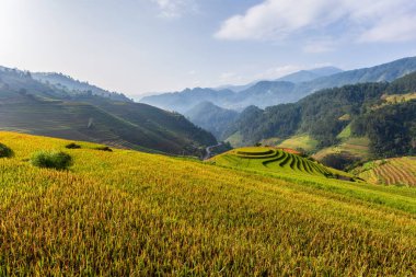 Mu Cang Chai, Yenbai, Kuzey Vietnam teraslı pirinç tarlası manzarası