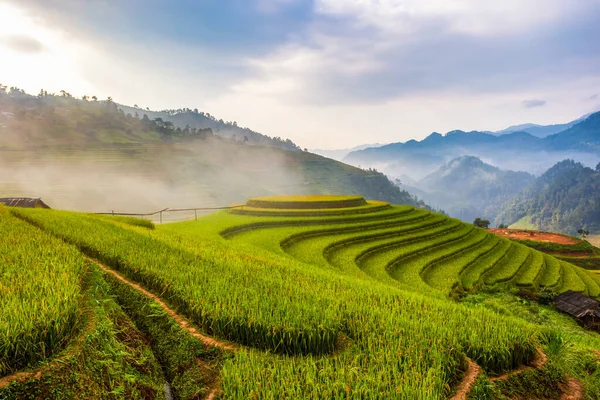 Terasovitá Rýžová Pole Krajiny Cang Chai Yenbai Severní Vietnam — Stock fotografie