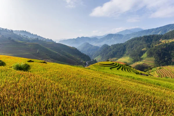 Terasovitá Rýžová Pole Krajiny Cang Chai Yenbai Severní Vietnam — Stock fotografie