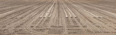 panoramik manzara sürülmüş boş alan, kahverengi ekimi zemin
