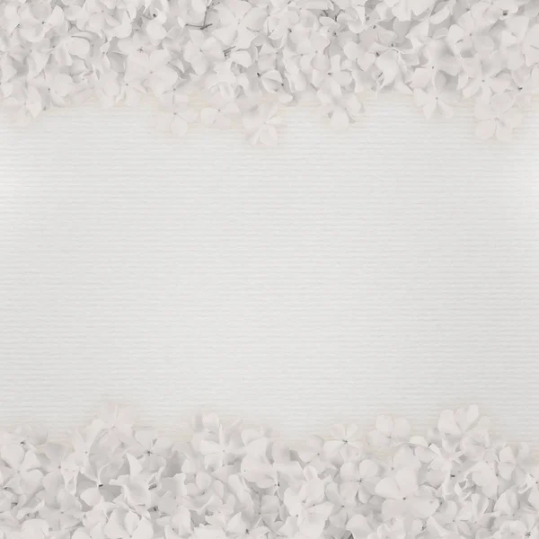 Fundo Papel Branco Com Molduras Flores Textura Padrão Stipe — Fotografia de Stock