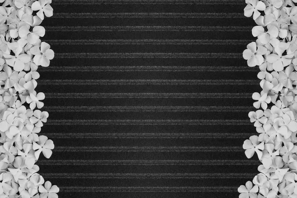 Zwart Streep Patroon Achtergrond Met Delicate Bloem Frames — Stockfoto