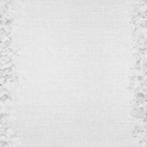 Weißer Abstrakter Leinwandhintergrund Mit Zarten Blumenrahmen — Stockfoto
