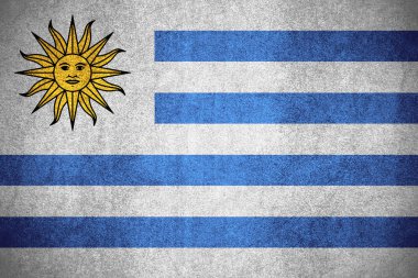 kaba desen doku Uruguay veya Uruguaylı afiş bayrağı
