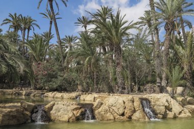 Yatay, palmiye ağaçları, göl ve üç küçük şelaleler içinde güneşli bir El palmeral Park'ta alicante, İspanya