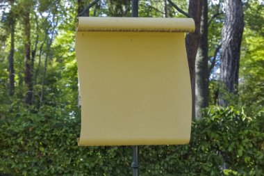 parkta parchement şekli ile sarı bir işaret yatay görünüm