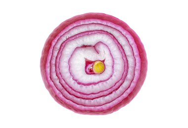 Beyaz arka plan üzerinde üstten görünüm izole kırmızı mor soğan dilimi.