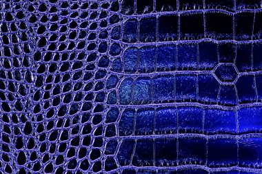 Arka plan mavi Timsah Cilt doku