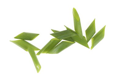 Beyaz arka planda izole edilmiş taze taze soğanlar. en üstteki görünüm.